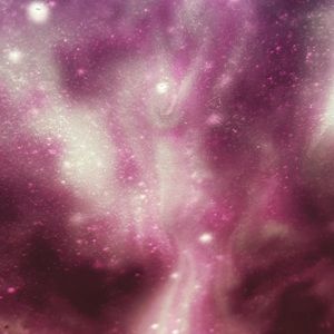 Meet your Posher, Rose